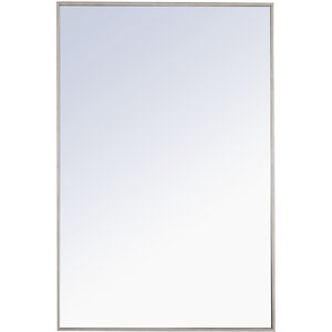 Monet 42 X 28 inch Silver Wall Mirror