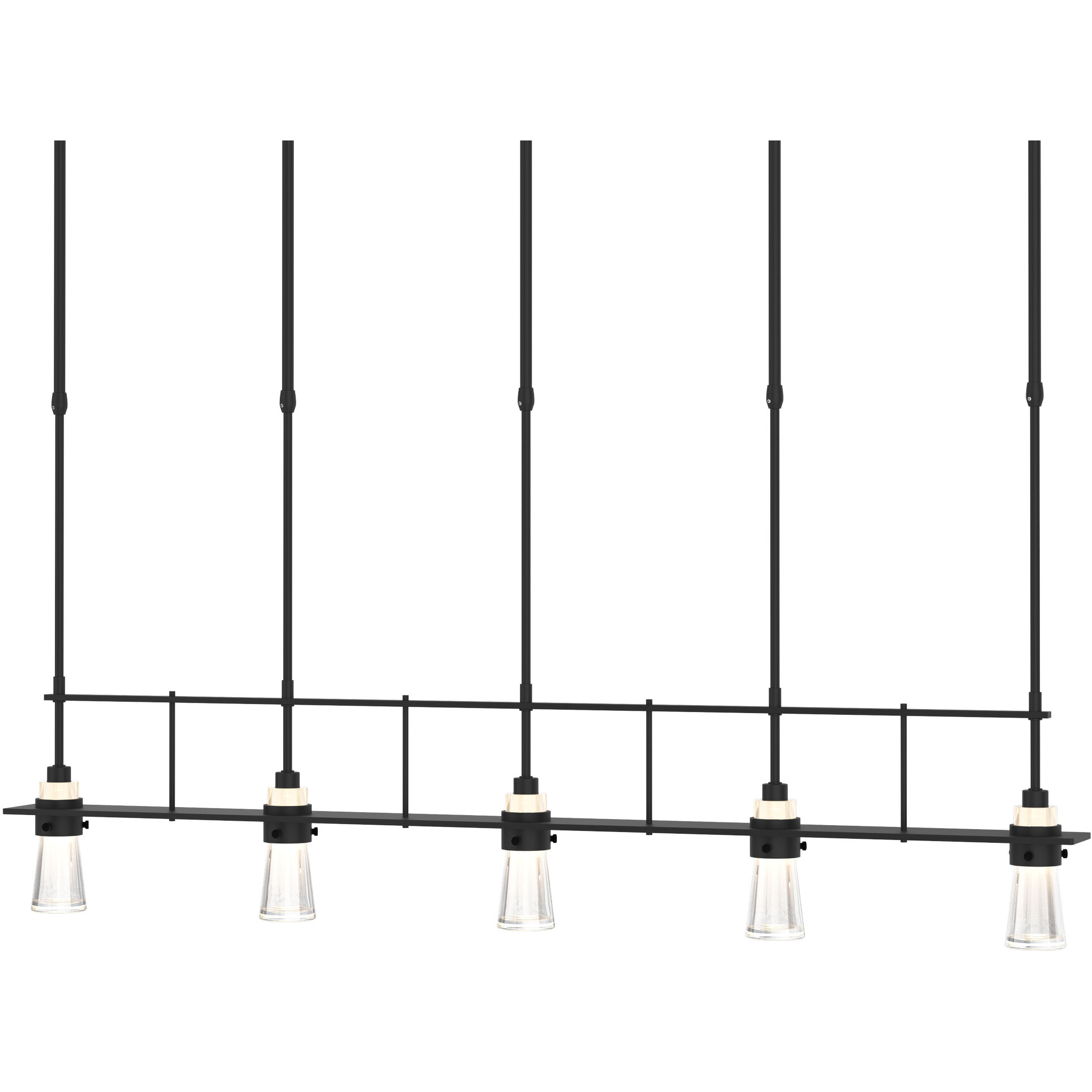 Erlenmeyer 5 Light 48 inch Black Pendant Ceiling Light