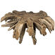 Teak Root Clear Coat Semi - Multilayered Coffee Table