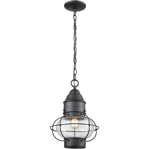 Onion 10 inch 60.00 watt Oil Rubbed Bronze Outdoor Pendant