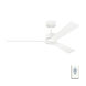 Rozzen 52 inch Matte White Indoor/Outdoor Ceiling Fan