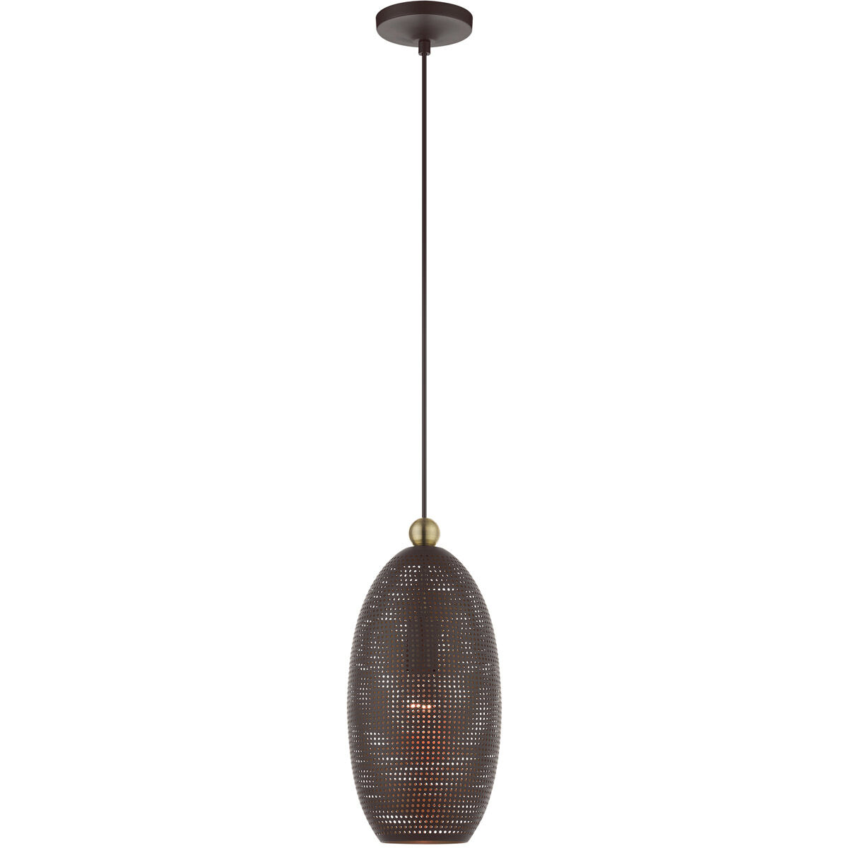 Dublin 1 Light 7 inch Bronze with Antique Brass Accents Pendant Ceiling Light