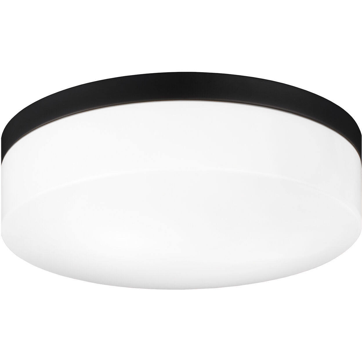 Xenon LED 11 inch Black Flush Mount Ceiling Light