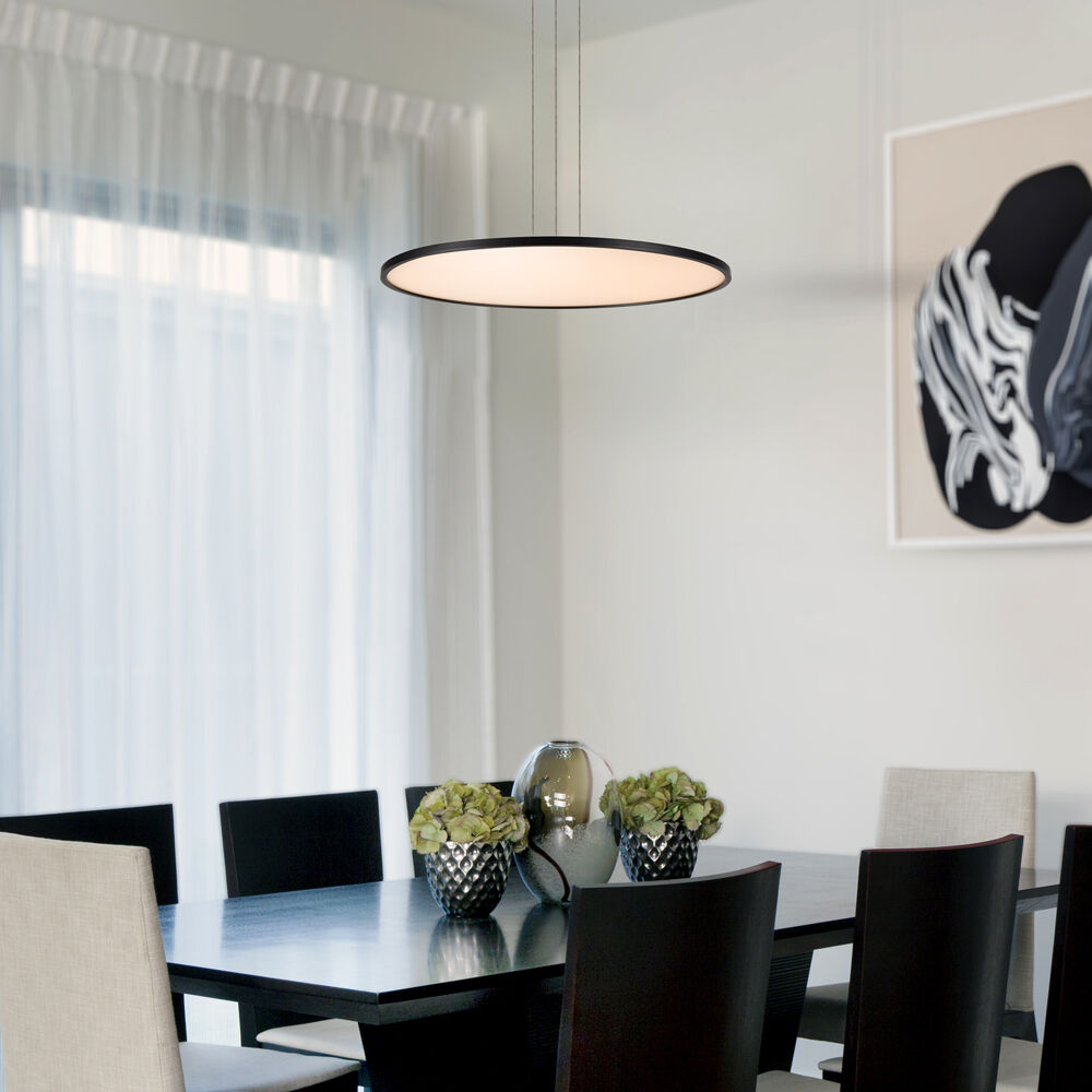 Salm 24 inch Black Pendant/Chandelier Ceiling Light