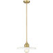 Paloma 1 Light 14.00 inch Pendant