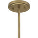 Harbor Wrap 6 Light 28 inch Legacy Brass and Dark Bronze Pendant Ceiling Light