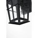 Bodine 1 Light 11.5 inch Black Outdoor Wall Sconce