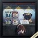 Animals Collection 11 X 11 inch Non-Glass Framed Art