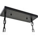 Resolute 4 Light 9.4 inch Black Pendant Ceiling Light