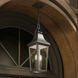 Cleary 2 Light 8.5 inch Olde Bronze Outdoor Pendant