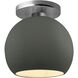 Radiance LED 10 inch Pewter Green and Brushed Nickel Semi Flush Ceiling Light