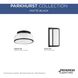 Parkhurst 2 Light 11.25 inch Matte Black Flush Mount Ceiling Light