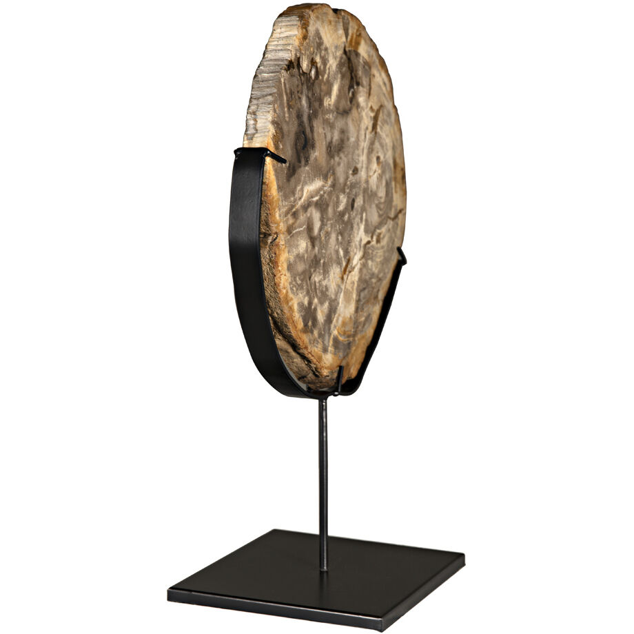 Wood Fossil Matte Black Decorative Object