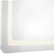 Seneca 60 X 36 inch Sandblasted Merc Edge Wall Mirror