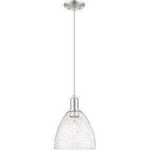 Arcadia Bristol 1 Light 9.00 inch Mini Pendant
