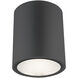 Cask LED Black Ceiling Flush Mount Ceiling Light