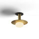 Combi LED 9 inch Brass Pendant Ceiling Light in Brass with Brass, Suspension / Flush Mount 2-in-1