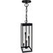 Windsor 4 Light 8 inch Black Outdoor Hanging Light