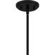 Haven 1 Light 14 inch Matte Black Pendant Ceiling Light