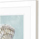 Seashell Green and Blue and Turquoise Framed Art, Propac