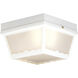 Wavy 2 Light 10 inch White Outdoor Flush Mount