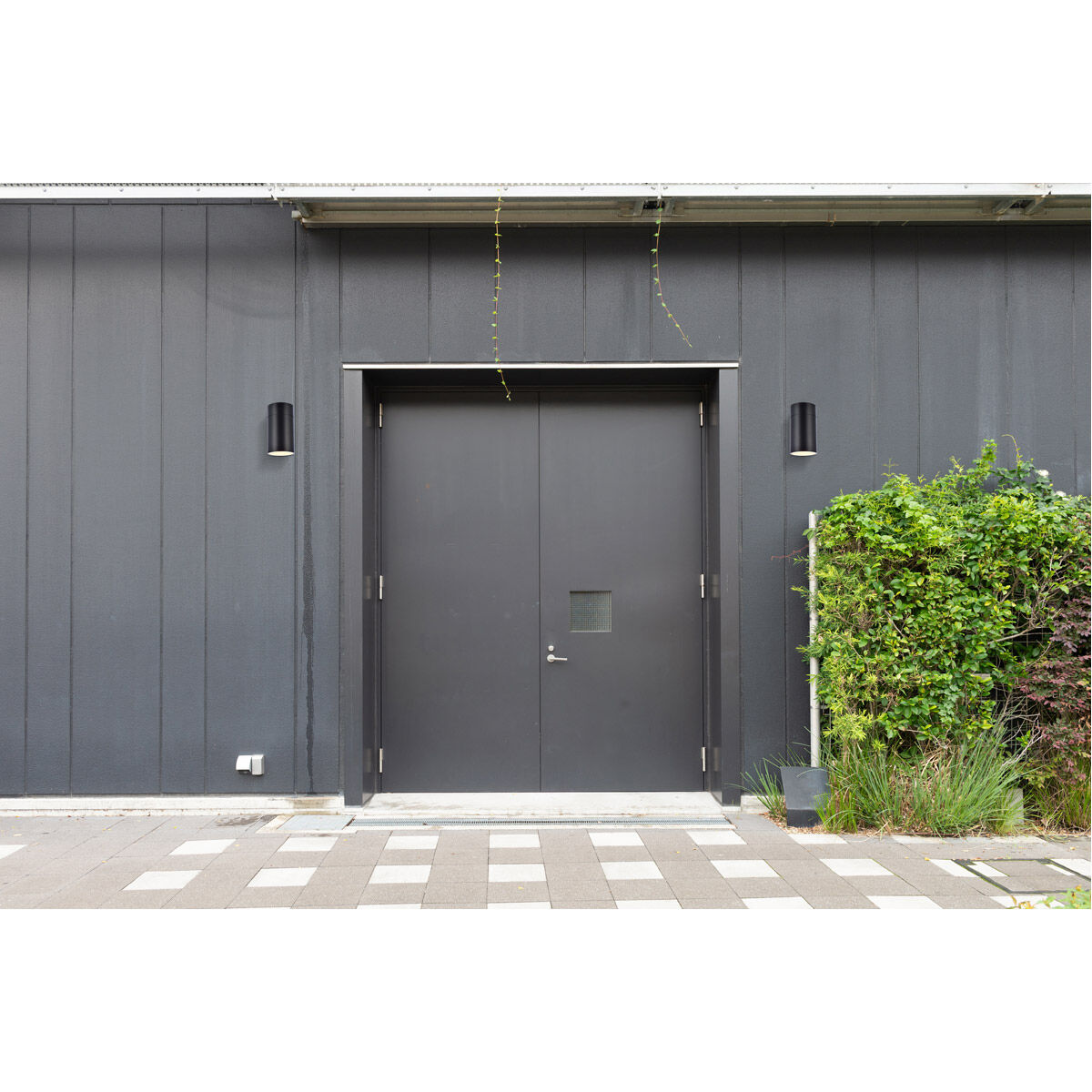 Raine 1 Light 8 inch Black Outdoor Wall Light