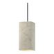 Radiance Collection LED 5.5 inch Brushed Nickel and Antique Patina and Black Pendant Ceiling Light
