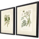 Queen's Lace Green and Neutral Framed Art, Propac