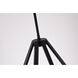 Canada LED 25 inch Black LED Chandelier Ceiling Light