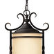 Casa 1 Light 12 inch Olde Black Outdoor Hanging Lantern