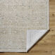 Once Upon a Time 34.65 X 23.23 inch Ivory / Light Gray / Tan / Light Brown / Gray Machine Woven Rug in 2 x 3