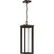Shore Pointe LED Oil Rubbed Bronze Outdoor Chain Hung, The Great Outdoors