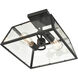 Grant 2 Light 13 inch Powder Coated Black Outdoor Flushmount