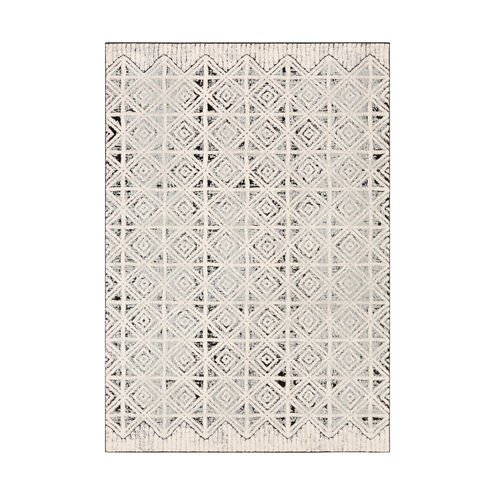 Dersim 87 X 63 inch Light Gray/White/Black Rugs