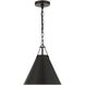 Xavier 1 Light 12 inch Matte Black Mini Pendant Ceiling Light