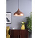 Circa 1 Light 16.5 inch Honey Gold Pendant Ceiling Light