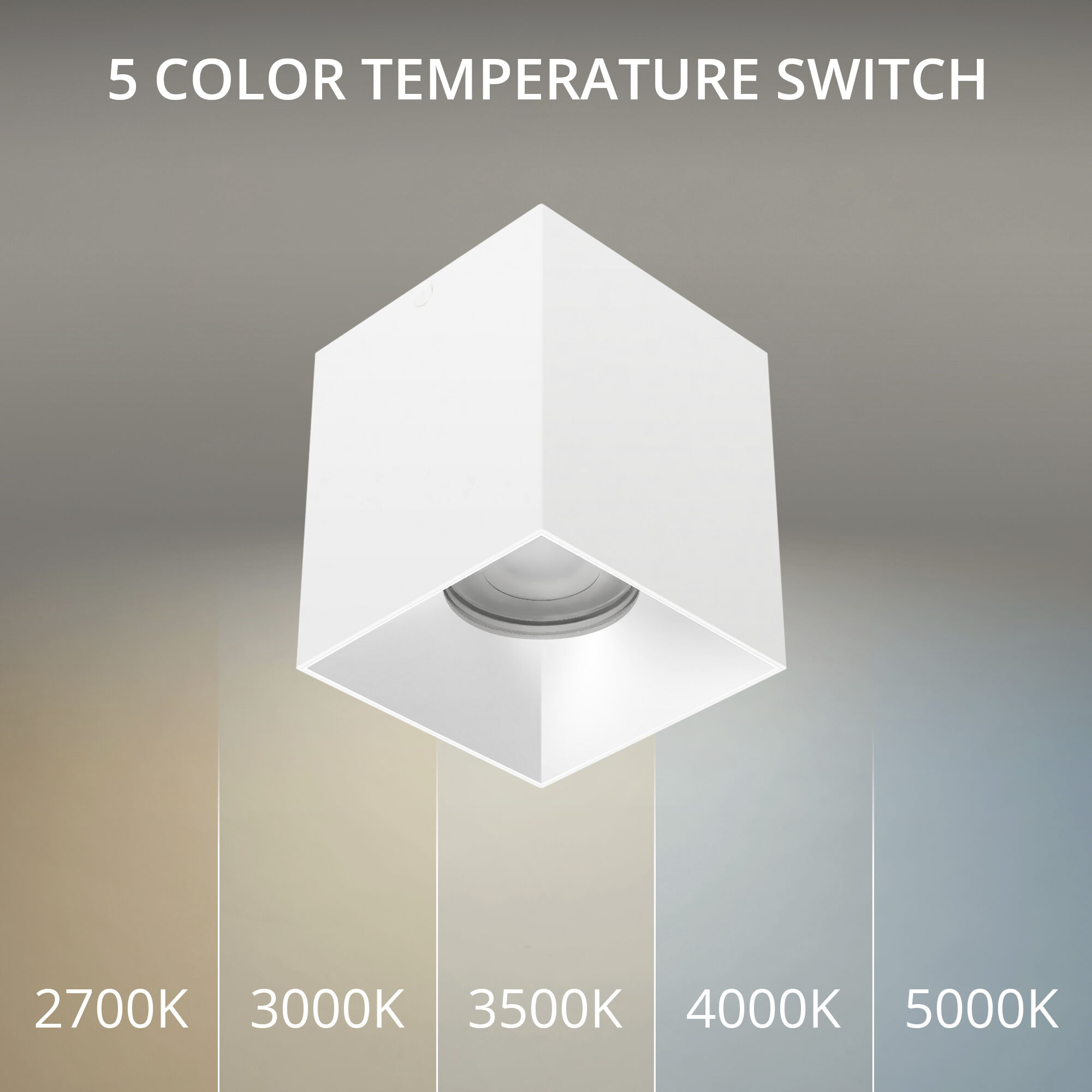 Zoron LED 3.63 inch White and Haze Outdoor Ceiling Lighting in White/Haze