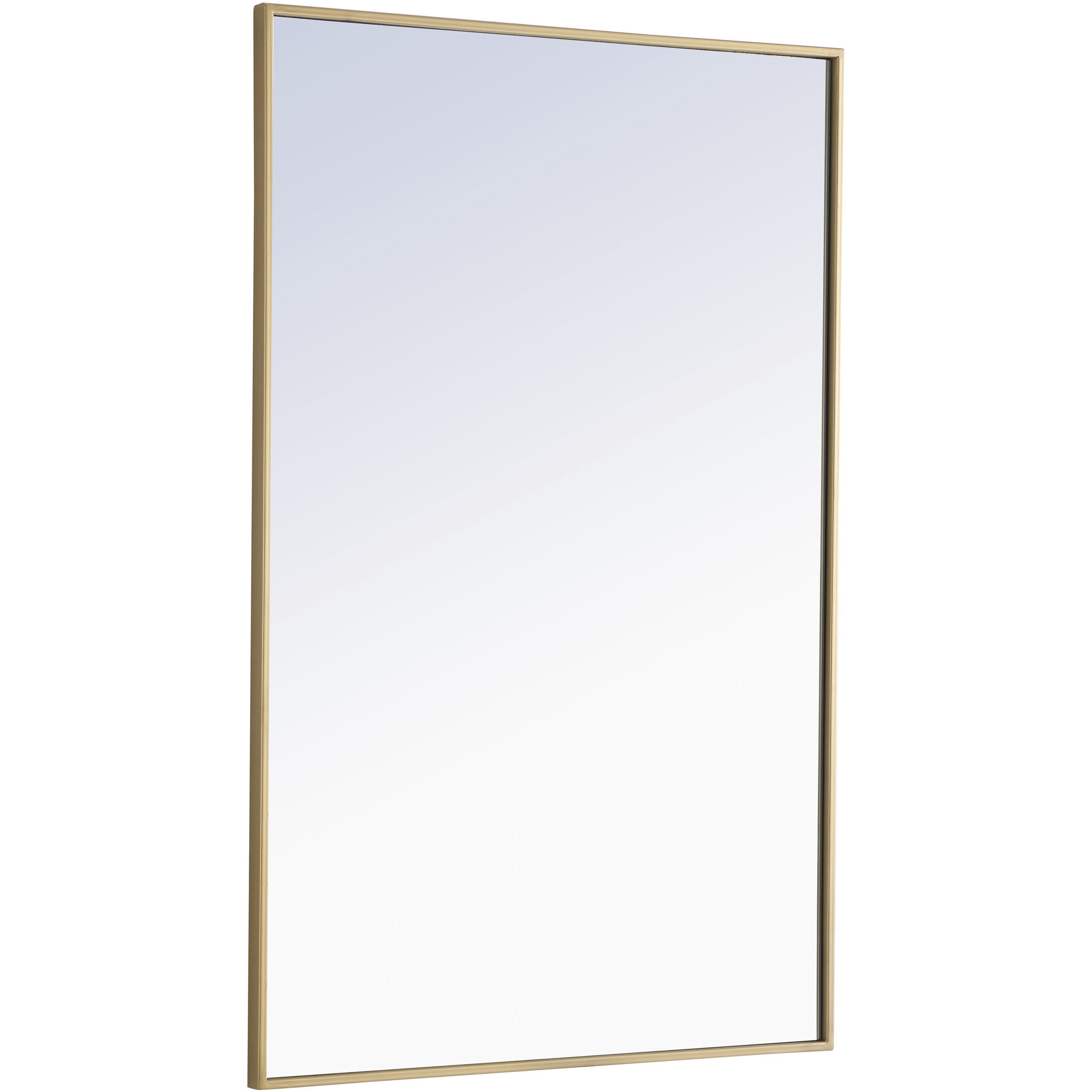 Monet 42 X 28 inch Brass Wall Mirror