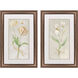 Tulip & Iris Beige and Gray and Green and White Framed Art, Propac