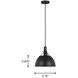 Rockland 1 Light 11.75 inch Midnight Black Pendant Ceiling Light