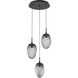 Meteo LED LED Matte Black Chandelier Ceiling Light, Round Multi-Port