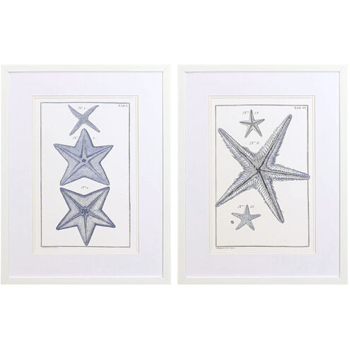 Blue Sea Stars Blue Framed Art