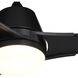 Crescent 22 inch Black with Black-Walnut Blades Ceiling Fan