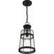 Quinton 1 Light 8.5 inch Matte Black Outdoor Hanging Lantern, Lighting One