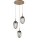 Meteo LED LED Novel Brass Chandelier Ceiling Light, Round Multi-Pendant
