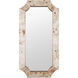 Farra 54 X 28 inch Poplar Burl with Weathered Brass Wall Mirror, Varaluz Casa