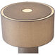Moonlight 20 inch 14 watt Gray Table Lamp Portable Light