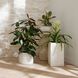 Callie 28 inch Planters, Set of 3