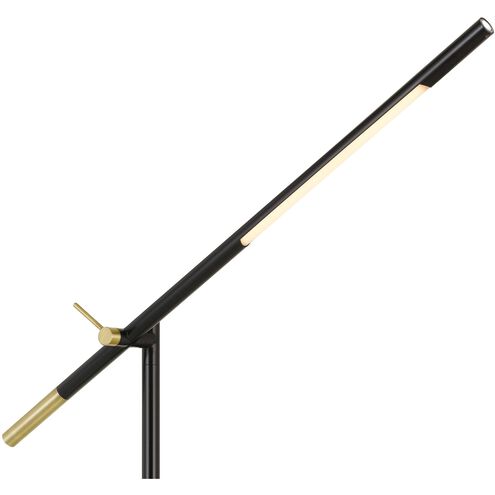 Virton 68 inch 10 watt Black and Antique Brass Floor Lamp Portable Light, Tubular