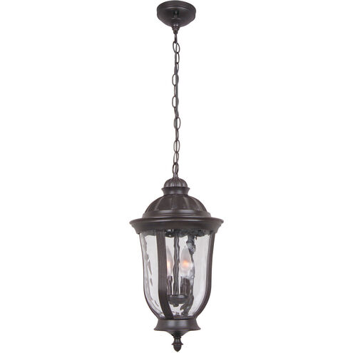 Frances 2 Light 10 inch Oiled Bronze Outdoor Outdoor Pendant, Medium